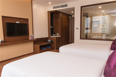 Deluxe Twin - City View